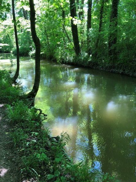 Pränataldiagnostik: In den Fluss des Lebens eingreifen oder den Dingen ihren Lauf lassen?